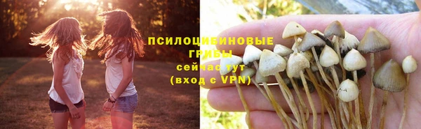 прущая мука Протвино