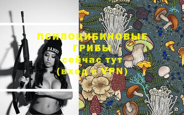 прущая мука Протвино