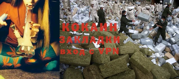 шишки Приозерск