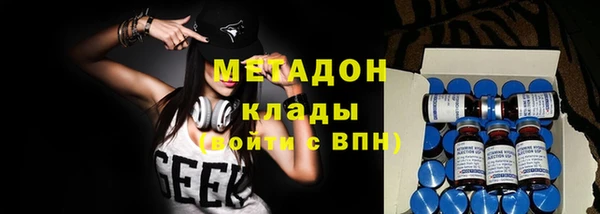 шишки Приозерск