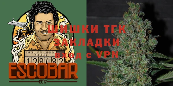 шишки Приозерск