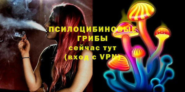 прущая мука Протвино