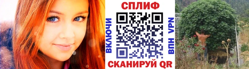 купить наркоту  Томилино  МАРИХУАНА Bruce Banner 